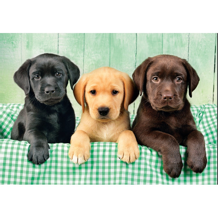 clementoni-three-labs-puzzle-1000-teile-70-x-50-cm image 2