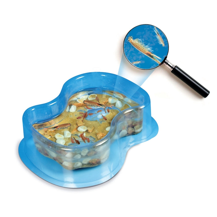 clementoni-galileo-lab-original-salzkrebse-artemia-salina-zucht-set image 2