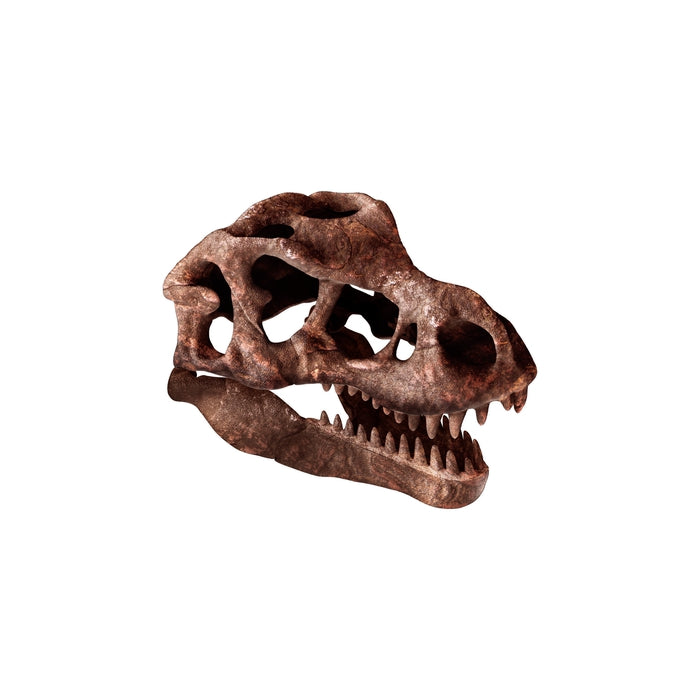clementoni-galileo-lab-ausgrabungs-set-riesensch-del-des-t-rex image 2