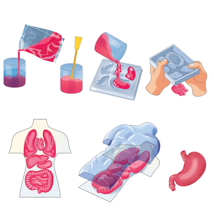 clementoni-galileo-lab-squishy-anatomie-experimentierkasten-menschlicher-k-rper image 5