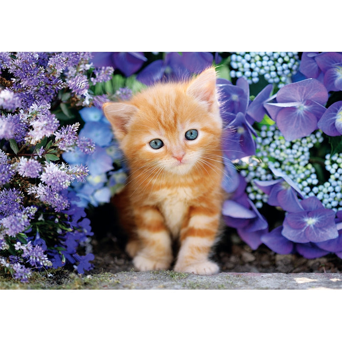 clementoni-ginger-cat-500-teile-puzzle-f-r-erwachsene-49-x-36-cm image 2