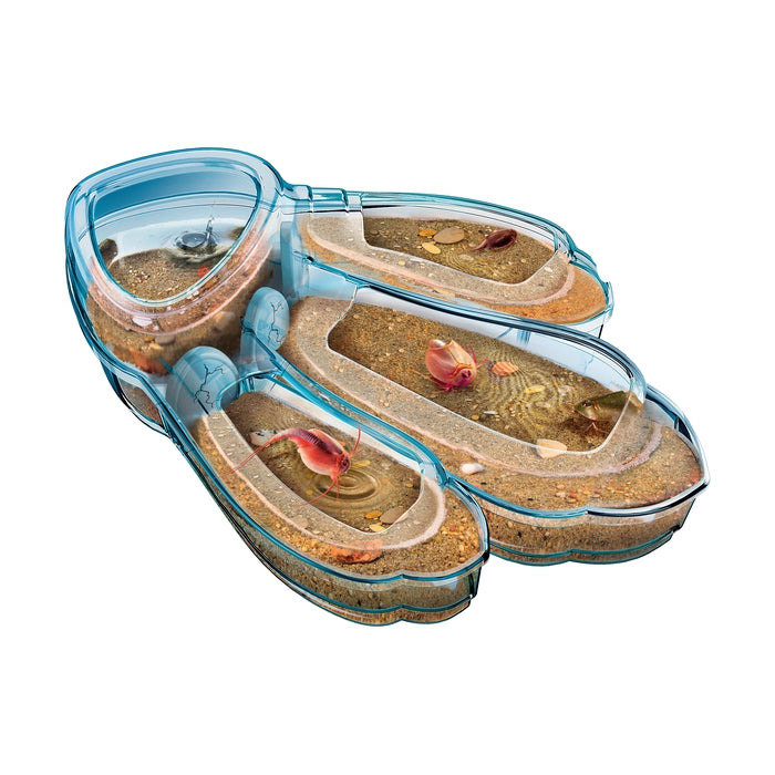 clementoni-galileo-lab-original-triops-maxi-de-luxe-aquarium image 2