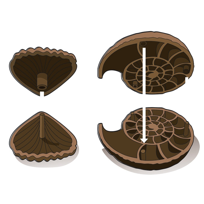 clementoni-galileo-lab-ausgrabungs-set-fossilien-mineralien-pal-ontologie-experi image 4