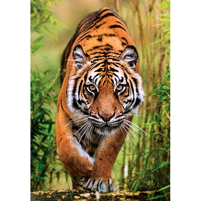 clementoni-puzzle-the-hunter-s-path-1000-teile-tier-puzzle image 2