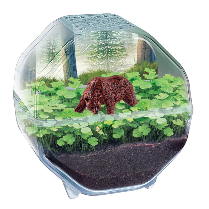 clementoni-mini-terrarium-b-r-galileo-lab-experimentierkasten image 2