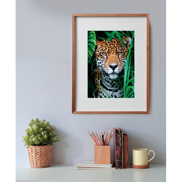 clementoni-jaguar-in-the-jungle-puzzle-500-teile image 3