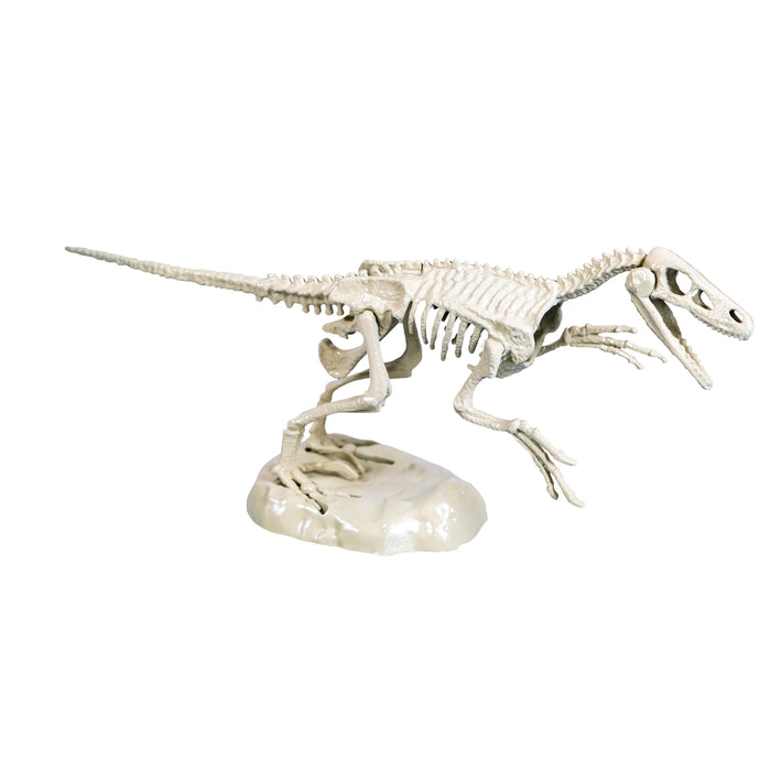 clementoni-galileo-discovery-ausgrabungs-set-velociraptor-dino-skelett-mit-leuch image 4