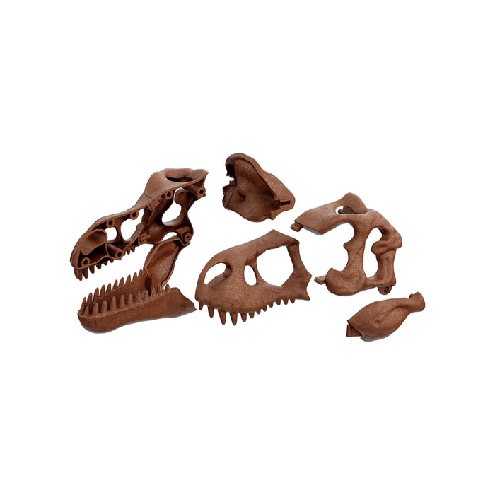clementoni-galileo-lab-ausgrabungs-set-riesensch-del-des-t-rex image 3