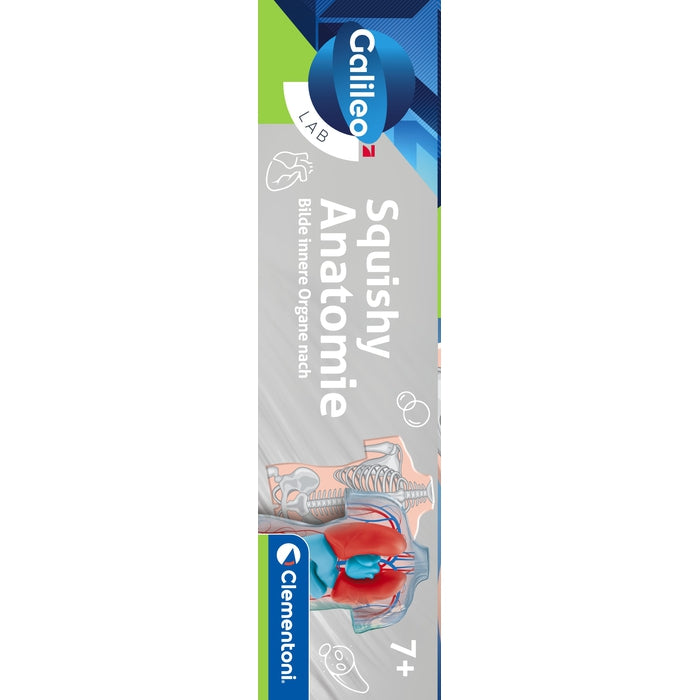 clementoni-galileo-lab-squishy-anatomie-experimentierkasten-menschlicher-k-rper image 8