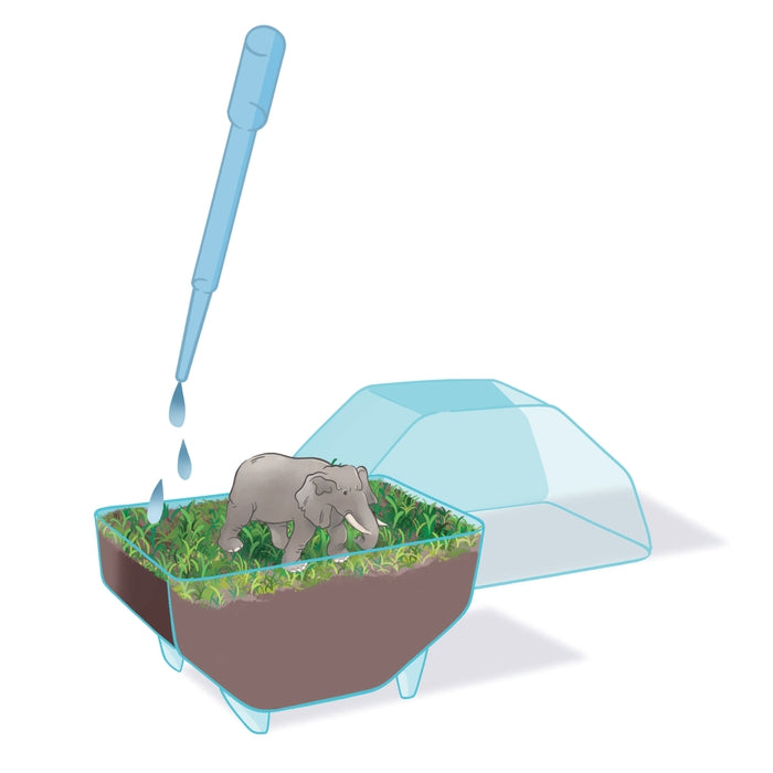 clementoni-galileo-lab-mini-terrarium-elefant-experimentierkasten image 4