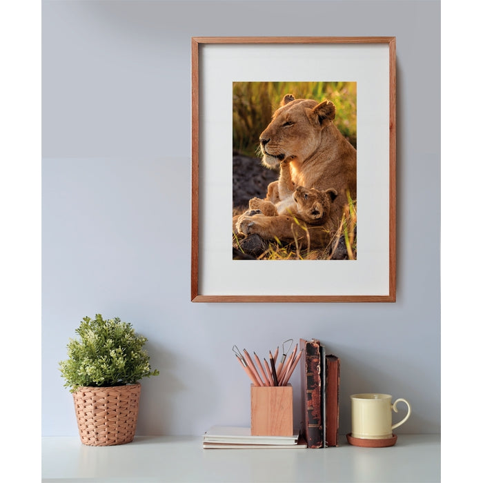 clementoni-feline-love-puzzle-500-teile image 3