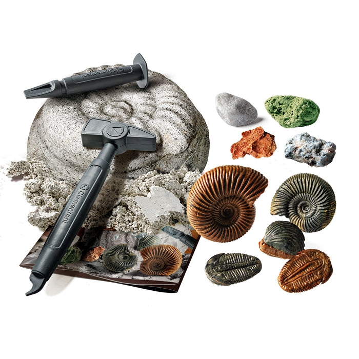 clementoni-galileo-lab-ausgrabungs-set-fossilien-mineralien-pal-ontologie-experi image 3