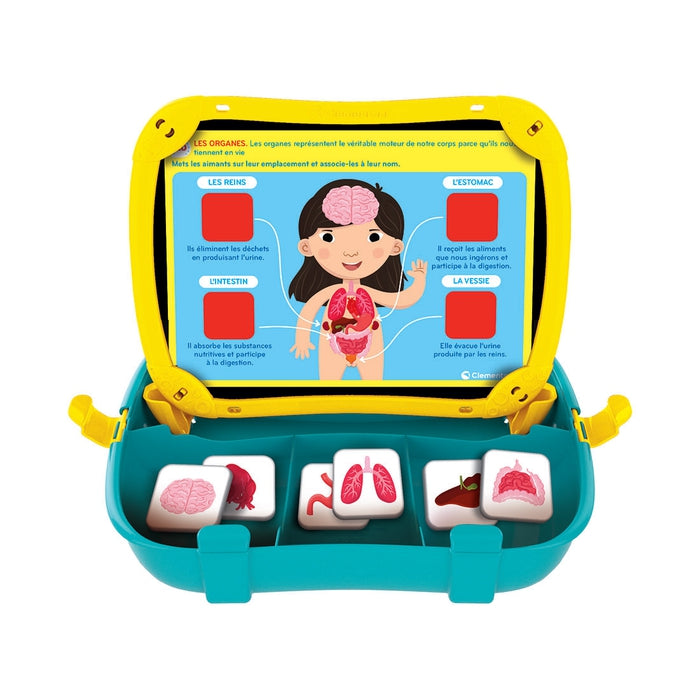 clementoni-education-lernbox-mein-k-rper-magnetkoffer image 3