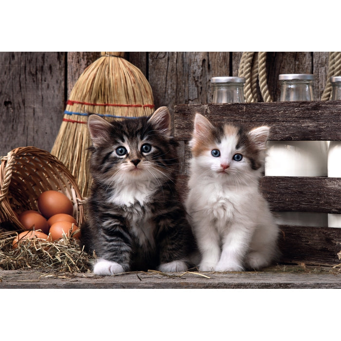 clementoni-lovely-kittens-puzzle-1000-teile-70-x-50-cm-tiere image 2