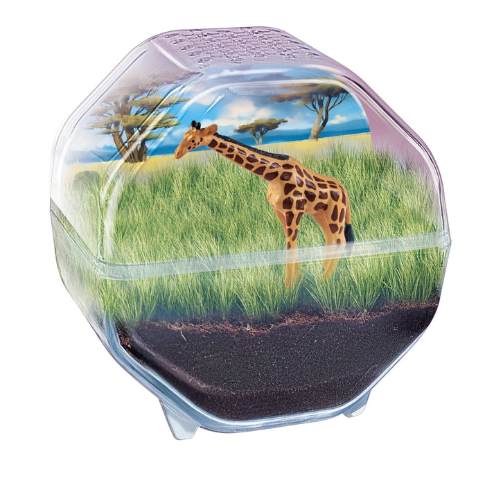clementoni-mini-terrarium-giraffe-pflanzen-tiere-experimentierset image 2