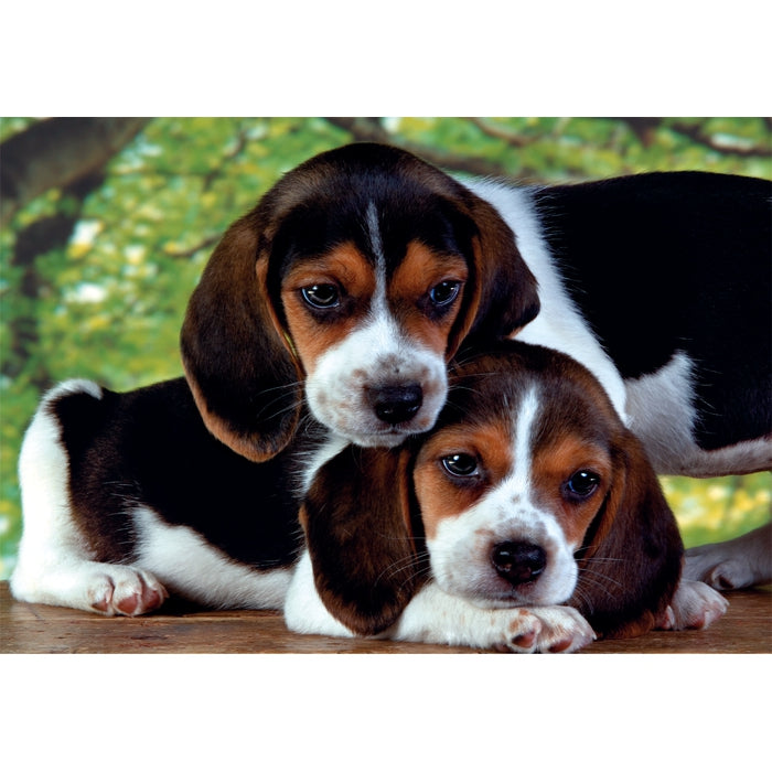 clementoni-adult-puzzle-close-together-500-teile-49-x-36-cm-tiere image 2