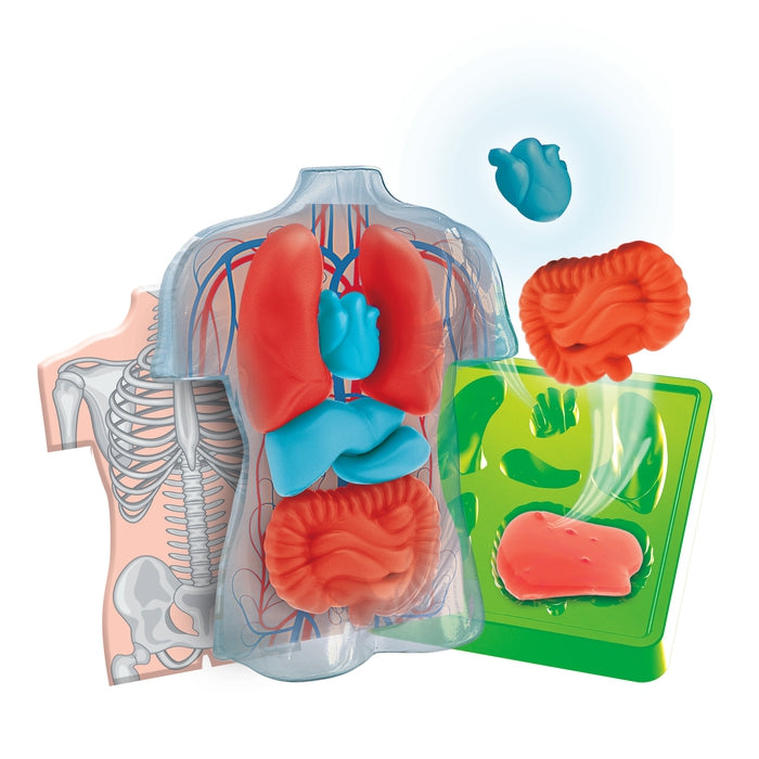 clementoni-galileo-lab-squishy-anatomie-experimentierkasten-menschlicher-k-rper image 2