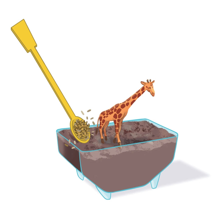 clementoni-mini-terrarium-giraffe-pflanzen-tiere-experimentierset image 4