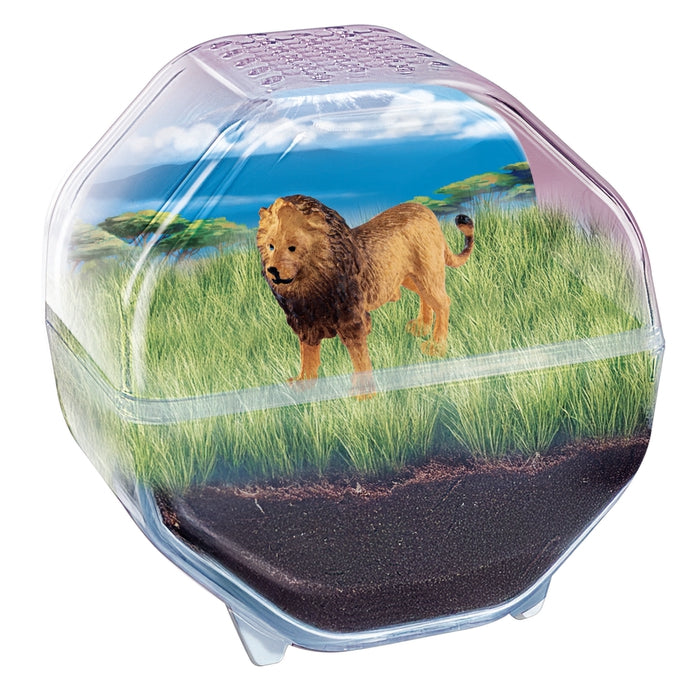 clementoni-mini-terrarium-l-we-wissenschaftsset-f-r-kinder-ab-7-jahren image 2