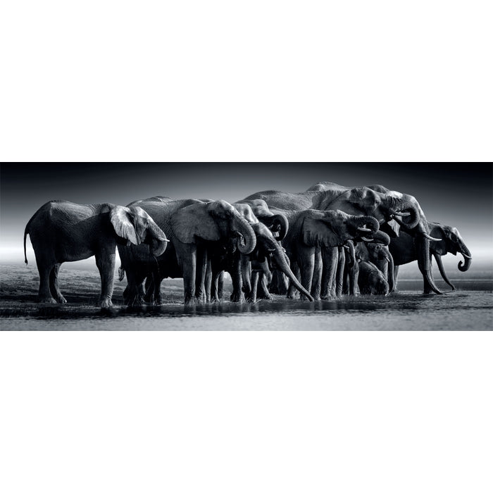 clementoni-herd-of-giants-puzzle-1000-teile image 2