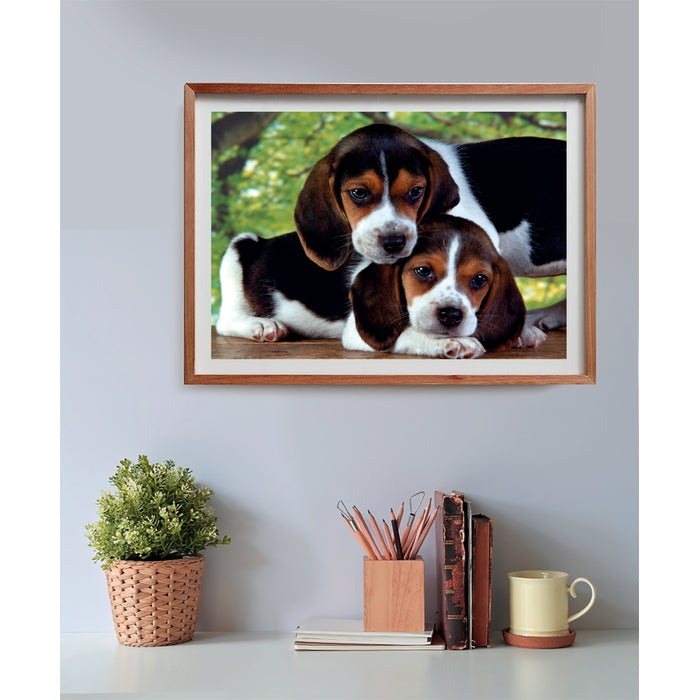 clementoni-adult-puzzle-close-together-500-teile-49-x-36-cm-tiere image 3