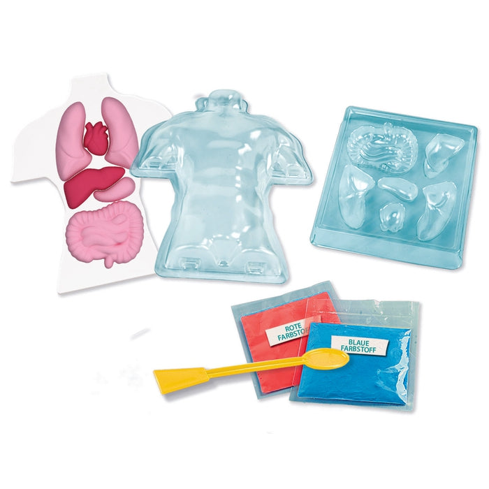 clementoni-galileo-lab-squishy-anatomie-experimentierkasten-menschlicher-k-rper image 4