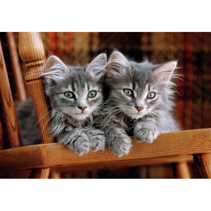 clementoni-kittens-puzzle-500-teile-49-x-36-cm image 2