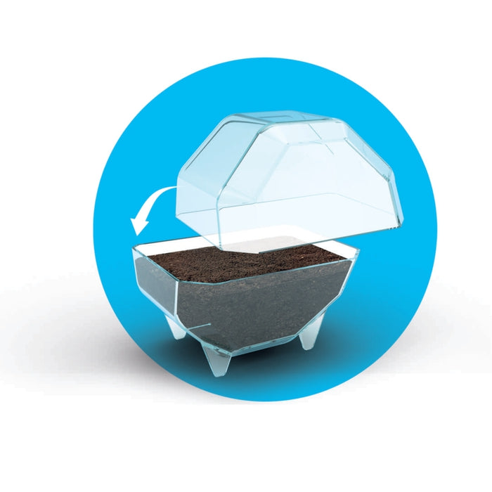 clementoni-mini-terrarium-b-r-galileo-lab-experimentierkasten image 5